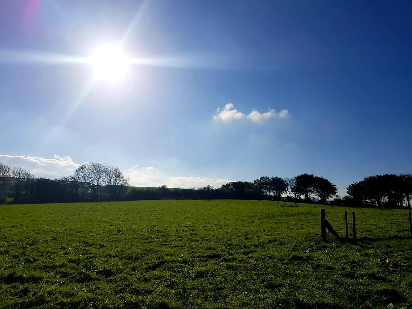 Yetland Farm *