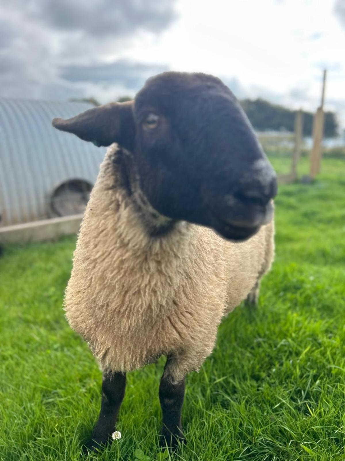 Yetland Farm