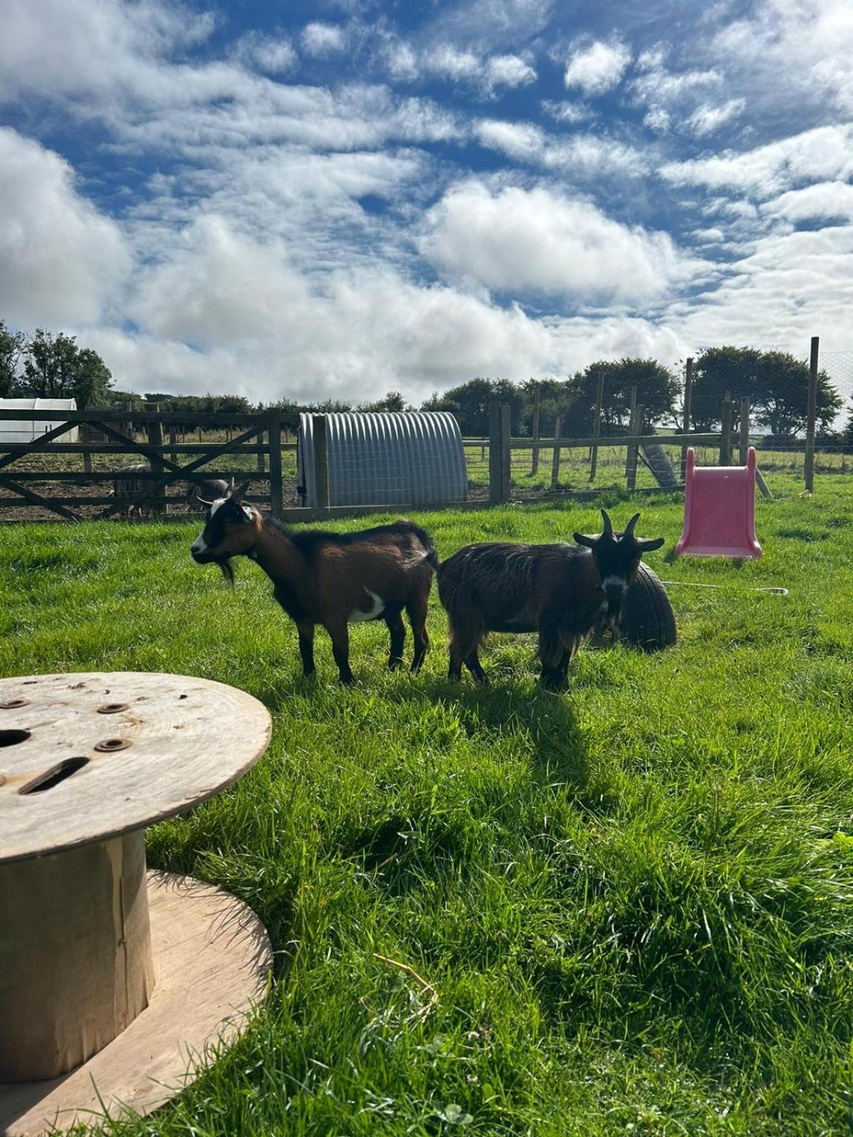 Yetland Farm *