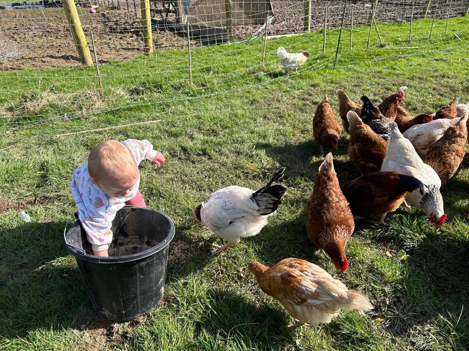 Yetland Farm Combe Martin